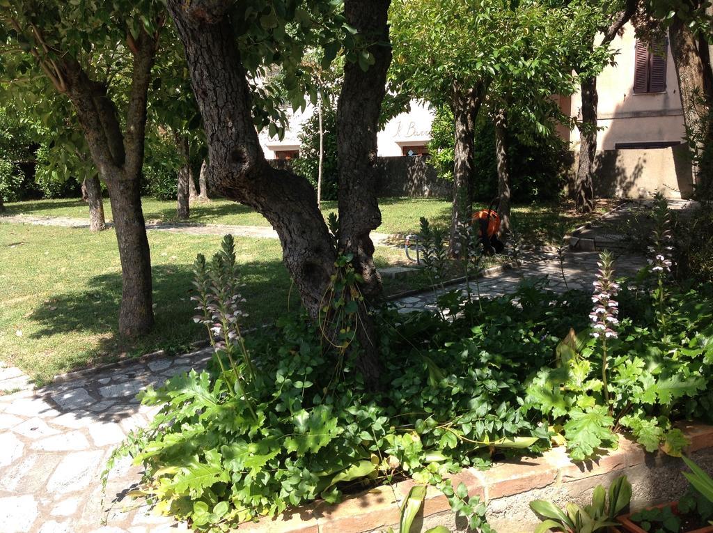 La Romita Ospitalita Rurale Familiare Villa Montisi Bagian luar foto